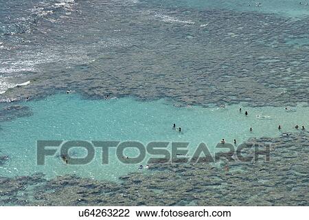 People enjoying Hanauma Bay, Hawaii Kai, Honolulu, Oahu, Hawaii, USA View Large Photo Image Stock Image - People enjoying Hanauma Bay, Hawaii Kai, Honolulu, Oahu, Hawaii, USA. Fotosearch