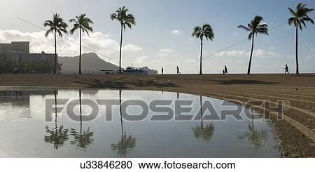 Reflection of palm trees in the Duke Paoa Kahanamoku Lagoon, Waikiki, Honolulu, Oahu, Hawaii, USA View Large Photo Image Stock Image - Reflection of palm trees in the Duke Paoa Kahanamoku Lagoon, Waikiki, Honolulu, Oahu, Hawaii, USA. Fotosearch