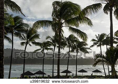 Stock Image - Resort on the beach, North Shore, Oahu, Hawaii, USA. Fotosearch