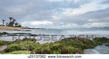 Stock Image - Rock formations on the coast, Sandy Beach, Hawaii Kai, Honolulu, Oahu, Hawaii, USA. Fotosearch