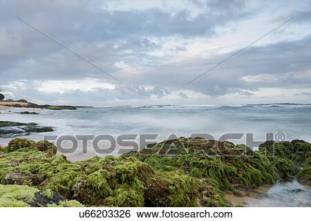 Rock formations on the coast, Sandy Beach, Hawaii Kai, Honolulu, Oahu, Hawaii, USA View Large Photo Image Stock Photograph - Rock formations on the coast, Sandy Beach, Hawaii Kai, Honolulu, Oahu, Hawaii, USA. Fotosearch