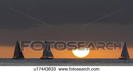Sailboats in the ocean at sunset, Waikiki, Honolulu, Oahu, Hawaii, USA View Large Photo Image Stock Image - Sailboats in the ocean at sunset, Waikiki, Honolulu, Oahu, Hawaii, USA. Fotosearch