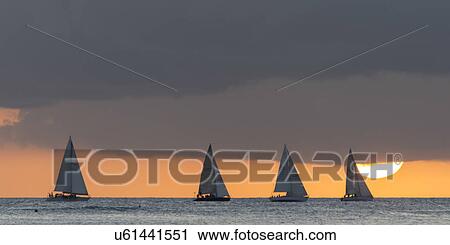 Sailboats in the ocean at sunset, Waikiki, Honolulu, Oahu, Hawaii, USA View Large Photo Image Stock Image - Sailboats in the ocean at sunset, Waikiki, Honolulu, Oahu, Hawaii, USA. Fotosearch