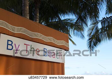 Sign under palm trees on the beach, Waikiki, Honolulu, Oahu, Hawaii, USA View Large Photo Image Stock Photo - Sign under palm trees on the beach, Waikiki, Honolulu, Oahu, Hawaii, USA. Fotosearch