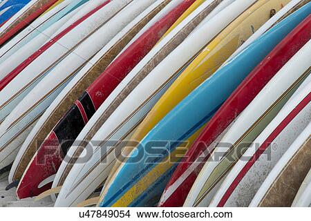 Surfboards in a row on the beach, Waikiki, Honolulu, Oahu, Hawaii, USA View Large Photo Image Picture - Surfboards in a row on the beach, Waikiki, Honolulu, Oahu, Hawaii, USA. Fotosearch