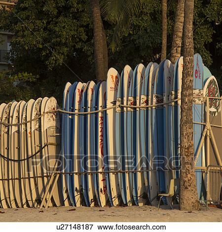 Surfboards lined up on the beach, Waikiki, Honolulu, Oahu, Hawaii, USA View Large Photo Image Stock Photo - Surfboards lined up on the beach, Waikiki, Honolulu, Oahu, Hawaii, USA. Fotosearch