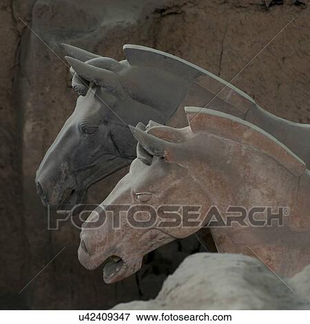 Stock Photo - Terracotta horse statue at the Terracotta Warriors Army Museum, Xi'an, China.. Fotosearch