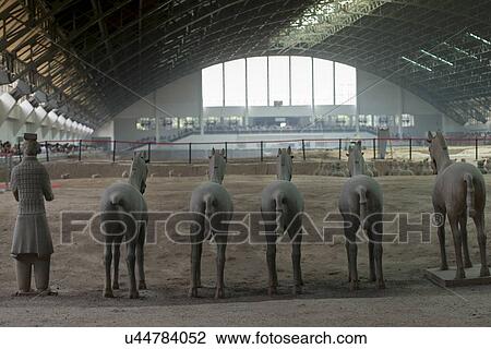 Terracotta warrior and horse statues at the Terracotta Warriors Army Museum, Xi'an, China. View Large Photo Image Stock Image - Terracotta warrior and horse statues at the Terracotta Warriors Army Museum, Xi'an, China.. Fotosearch