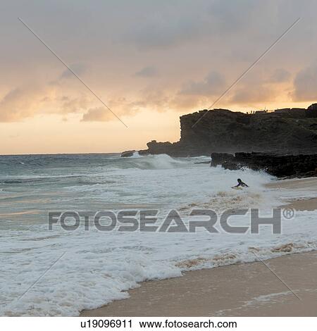Tourist surfing on the beach, Sandy Beach, Hawaii Kai, Honolulu, Oahu, Hawaii, USA View Large Photo Image Stock Image - Tourist surfing on the beach, Sandy Beach, Hawaii Kai, Honolulu, Oahu, Hawaii, USA. Fotosearch