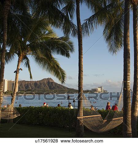Tourists on the beach, Waikiki, Honolulu, Oahu, Hawaii, USA View Large Photo Image Stock Photo - Tourists on the beach, Waikiki, Honolulu, Oahu, Hawaii, USA. Fotosearch