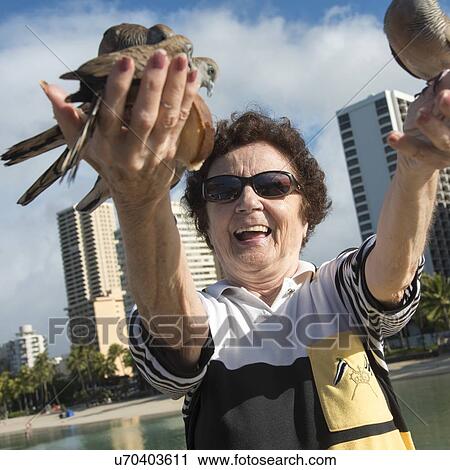 Woman feeding pigeons, Waikiki, Diamond Head, Kapahulu, Honolulu, Oahu, Hawaii, USA View Large Photo Image Stock Image - Woman feeding pigeons, Waikiki, Diamond Head, Kapahulu, Honolulu, Oahu, Hawaii, USA. Fotosearch