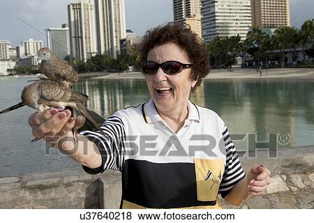Woman feeding pigeons, Waikiki, Kapahulu, Honolulu, Oahu, Hawaii, USA View Large Photo Image Stock Photo - Woman feeding pigeons, Waikiki, Kapahulu, Honolulu, Oahu, Hawaii, USA. Fotosearch