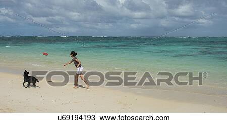 Woman playing with dog on the beach, Kailua Beach, Kailua, Oahu, Hawaii, USA View Large Photo Image Stock Image - Woman playing with dog on the beach, Kailua Beach, Kailua, Oahu, Hawaii, USA. Fotosearch