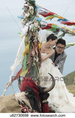 Yak in front of a newlywed couple with prayer flags, Yamdrok Lake, Nagarze, Shannan, Tibet, China View Large Photo Image Stock Photo - Yak in front of a newlywed couple with prayer flags, Yamdrok Lake, Nagarze, Shannan, Tibet, China. Fotosearch