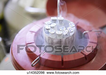 Stock Photo - Empty Ultrasound Suite In Modern Hospital. Fotosearch