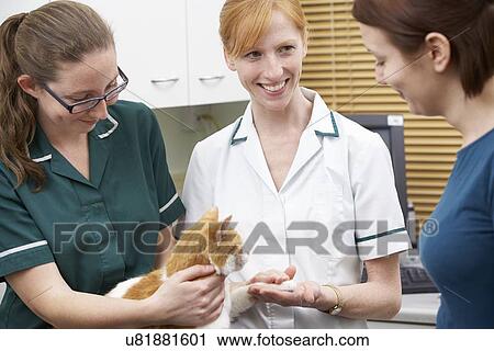 Stock Image - Female Vet Examining Cat In Surgery. Fotosearch