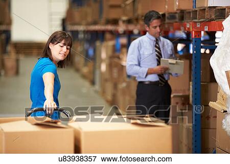 Female Worker Pulling Pallet In Warehouse View Large Photo Image Stock Photo - Female Worker Pulling Pallet In Warehouse. Fotosearch