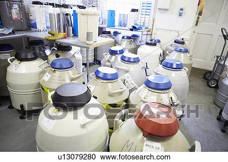 Frozen Storage At Sperm Bank View Large Photo Image Stock Image - Frozen Storage At Sperm Bank. Fotosearch