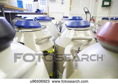 Stock Image - Frozen Storage At Sperm Bank. Fotosearch