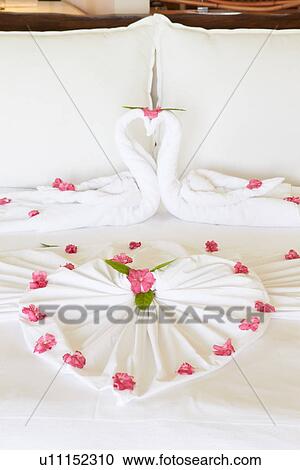Stock Image - Hotel Bedroom With Flowers Arranged On Sheets. Fotosearch