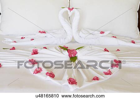Stock Image - Hotel Bedroom With Flowers Arranged On Sheets. Fotosearch