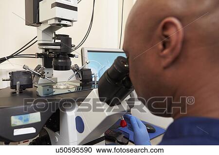 Laboratory Fertilization Of Eggs In IVF Treatment View Large Photo Image Stock Image - Laboratory Fertilization Of Eggs In IVF Treatment. Fotosearch