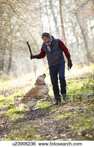 Man Throwing Stick For Dog On Walk Through Autumn Woods View Large Photo Image Stock Photograph - Man Throwing Stick For Dog On Walk Through Autumn Woods. Fotosearch