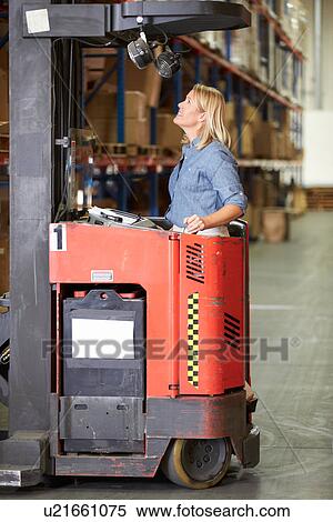 Woman Driving Fork Lift Truck In Warehouse View Large Photo Image Stock Photography - Woman Driving Fork Lift Truck In Warehouse. Fotosearch