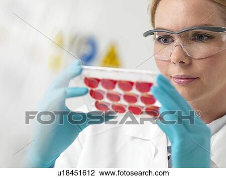 Biological research View Large Photo Image Stock Image - Biological research. Fotosearch