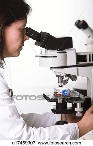 Stock Photo - Biological research. Fotosearch