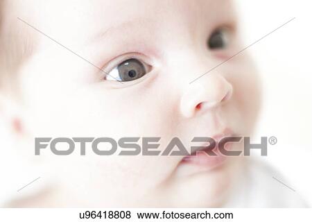 Five week old baby girl View Large Photo Image Stock Photo - Five week old baby girl. Fotosearch