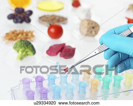 Food research, conceptual image View Large Photo Image Stock Image - Food research, conceptual image. Fotosearch