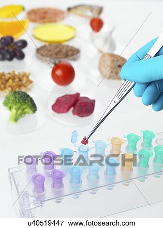 Food research, conceptual image View Large Photo Image Stock Photo - Food research, conceptual image. Fotosearch