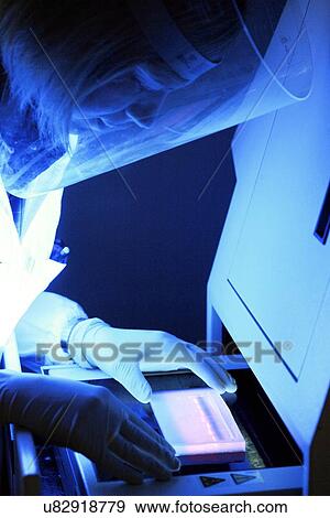 Stock Photo - Genetics research. Fotosearch