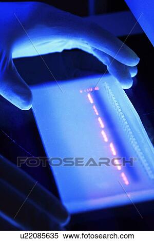 Genetics research View Large Photo Image Stock Photography - Genetics research. Fotosearch