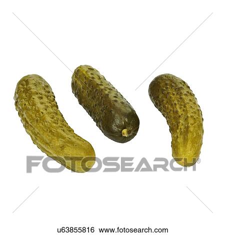 Gherkins View Large Photo Image Stock Photograph - Gherkins. Fotosearch