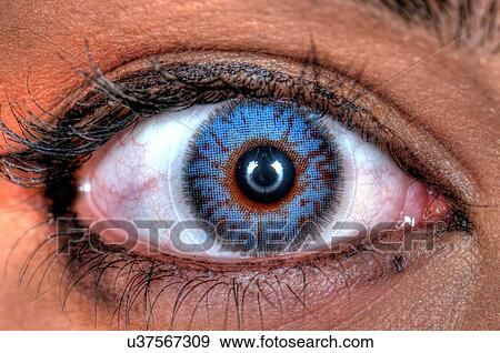 Human Eye View Large Photo Image Stock Photo - Human Eye. Fotosearch
