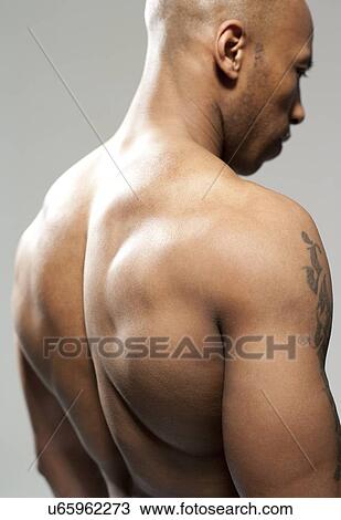 Male shoulder View Large Photo Image Stock Image - Male shoulder. Fotosearch
