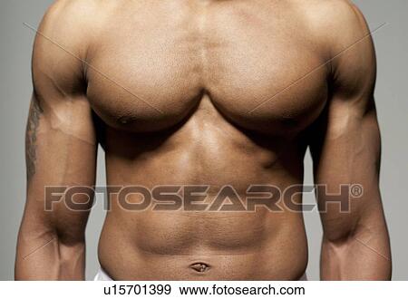 Stock Photo - Male torso. Fotosearch