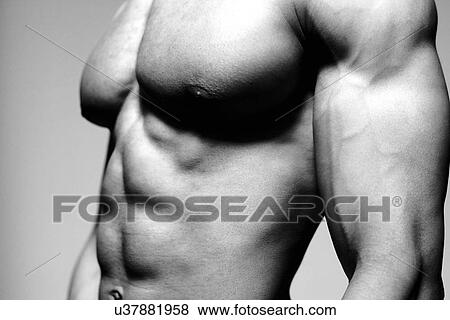 Male torso View Large Photo Image Stock Photo - Male torso. Fotosearch