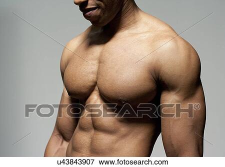 Stock Photo - Male torso. Fotosearch