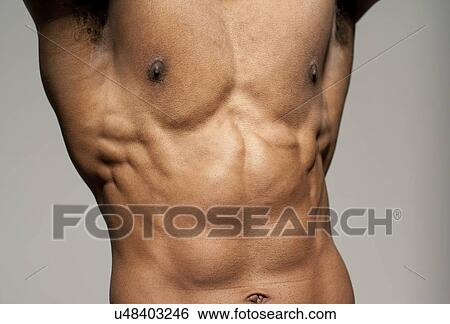 Stock Photograph - Male torso. Fotosearch