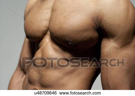 Stock Photograph - Male torso. Fotosearch