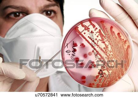 Stock Image - Microbiology research. Fotosearch
