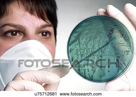 Stock Image - Microbiology research. Fotosearch