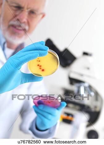 Stock Image - Microbiology research. Fotosearch