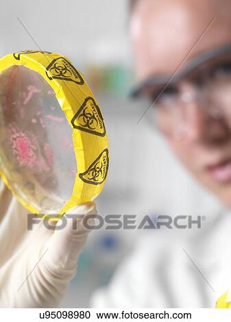 Microbiology research View Large Photo Image Stock Image - Microbiology research. Fotosearch