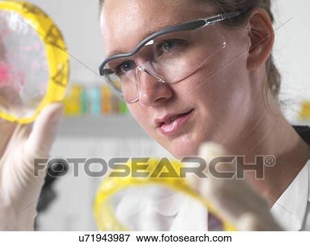 Stock Photo - Microbiology research. Fotosearch
