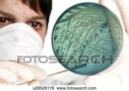 Stock Photograph - Microbiology research. Fotosearch