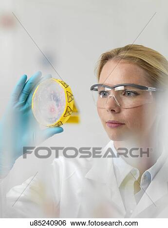 Microbiology research View Large Photo Image Stock Photograph - Microbiology research. Fotosearch